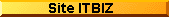 Itbiz